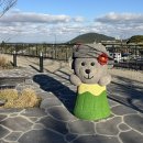 스피드메이트 미래점 | 2025년 11월의 일상