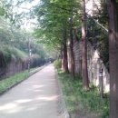 신기천 이미지