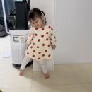IT밸리정문 삼거리 | 36개월 미만 아기랑 에버랜드 추천 코스 유아전용 놀이기구 사파리 로스트밸리 스마트 줄서기 큐패스 후기