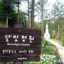 달빛,정원(Moonlight Garden) 이미지