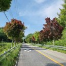 만남의광장 이미지