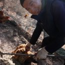 나래농장2 이미지