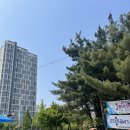 선부11단지사거리 이미지