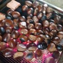 하리네집 이미지