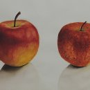 수채화(취미) 이미지