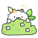 예향정제주 이미지