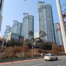 노브랜드 건너 쌍용아파트 앞 | 구미 임장 4 - 옥계동 아파트, 산동읍 확장단지
