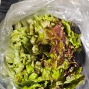 청주 용암동족발맛집 [마루족발]후기
