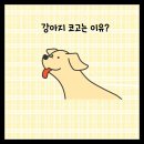 진안동물병원 이미지