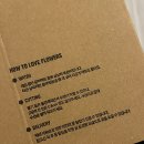 럭키카써비스 | [공지] 꾸까 8,900원 봄꽃 럭키박스 구매 후기 : 거베라 (구독 서비스 추천)