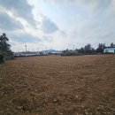 안성리-5 이미지