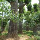 본당리마을회관 이미지