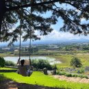 수산리공중화장실 | 제주 애월 여행지 오르기 쉬운 오름 그네 인생샷 가능한, 수산봉