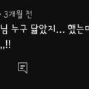 싹퉁머리 이미지