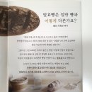 씨드앤씨드 베이커리 이미지