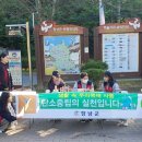 창녕목재