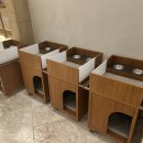 세심유치원 | [경주 애견동반 숙소] 반려견 천국 키녹 펫호텔 부대시설(실내외 운동장, 조식 카페 등)