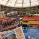 노고지리 | 📍 청도여행 청도소싸움경기장 소싸움 배팅 성공한 썰