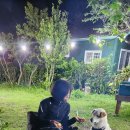 애월 은 stay 이미지