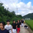 개봉태권도