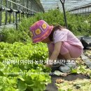 은진농장 | 서울 아이와 가볼만한곳 강남 3시간 코스 I 은진농장 체험 + 율현공원 놀이터 추천 루트