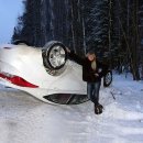 닭 씨리즈 이미지