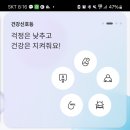 [헬스 데이터뱅크] 활용 후기