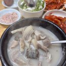 감나무집유정순대 | 사가정 순대국밥 맛집 [유정순대] 대파김치가 찐인 | 농민백암순대, 서현가마솥순대국, 또와집순대국