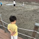 용MTB | 인천 소래습지생태공원 자전거 대여해서 타기 좋은 공원 무료 갯벌체험