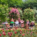 영화어르신의집 이미지