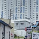 왕거미식당 이미지