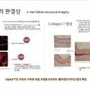 라라뷰티랜드제주