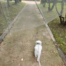 평동산단7번로 | 전라광주 쿠팡 4센터 물류알바 신규 단기알바 후기