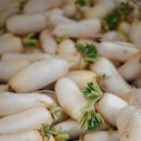 고추마을마늘나라 이미지