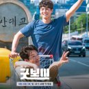 보이컷