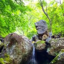 2019-주115 이미지