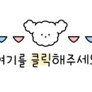 (주)실론투어 이미지