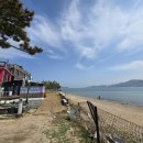 소나무집 이미지