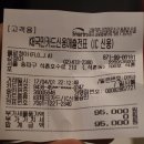 석촌호수 앞 &#39;플로정아&#39; 선인장가게 후기.인테리어 소품으로 딱