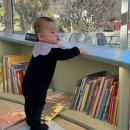 장곡1리 | 모쿠슈라 I 파주 대형카페 키즈존 준비된 프렌치카페