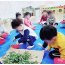 산솔내음 네이버블로그