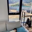 평사리 85-7 이미지