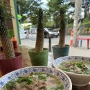 포옹남 당산점 이미지