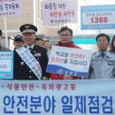청양초 이미지