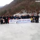 다이버스버디 이미지