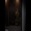 제주독채펜션 돌담감성숙소 흐레 이미지