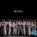경희대 KTIGERS 태권도 이미지