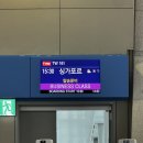 참 조은 훈이네 강아지 | 2026년 첫 출국 : 웨딩어벤저스의 싱가포르여행 또는 6개월 뒤에 하는 결혼식 뒤풀이 1편