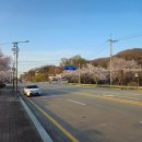 청당산업길 네이버블로그