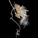 만석부두로 이미지